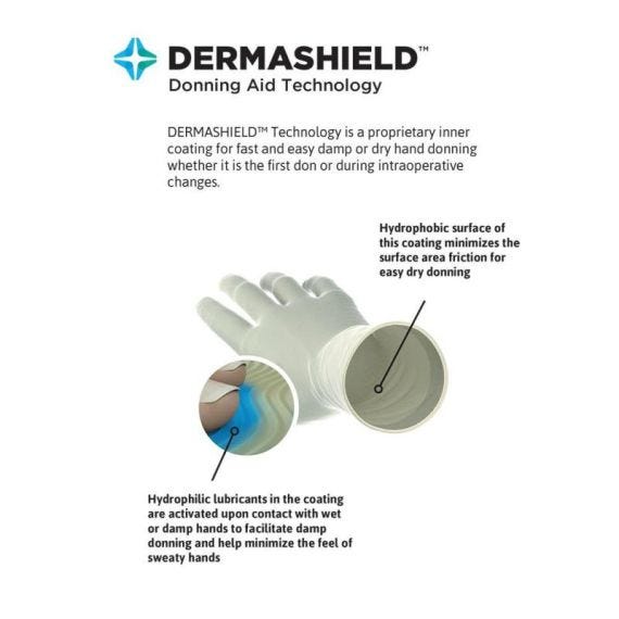 Gloves Dermashield Latex 6
