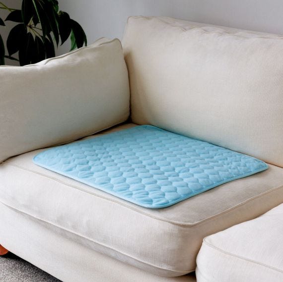 Absorbmax Chair Pad Regular 60cmx60cm 1500ml Waterproof Pale Blue