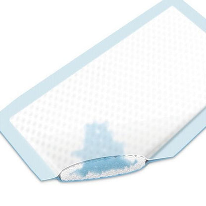 Vliwazell Absorbent Dressing 10cm X 10cm