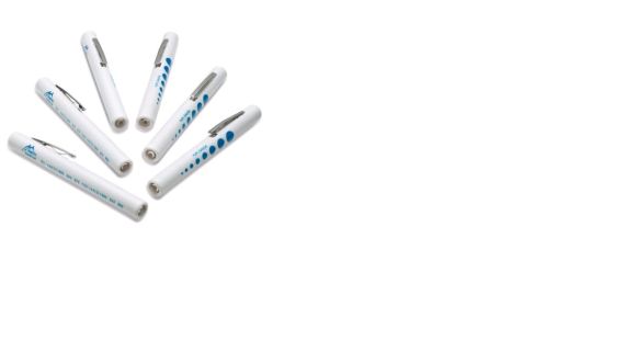 Torch Disposable